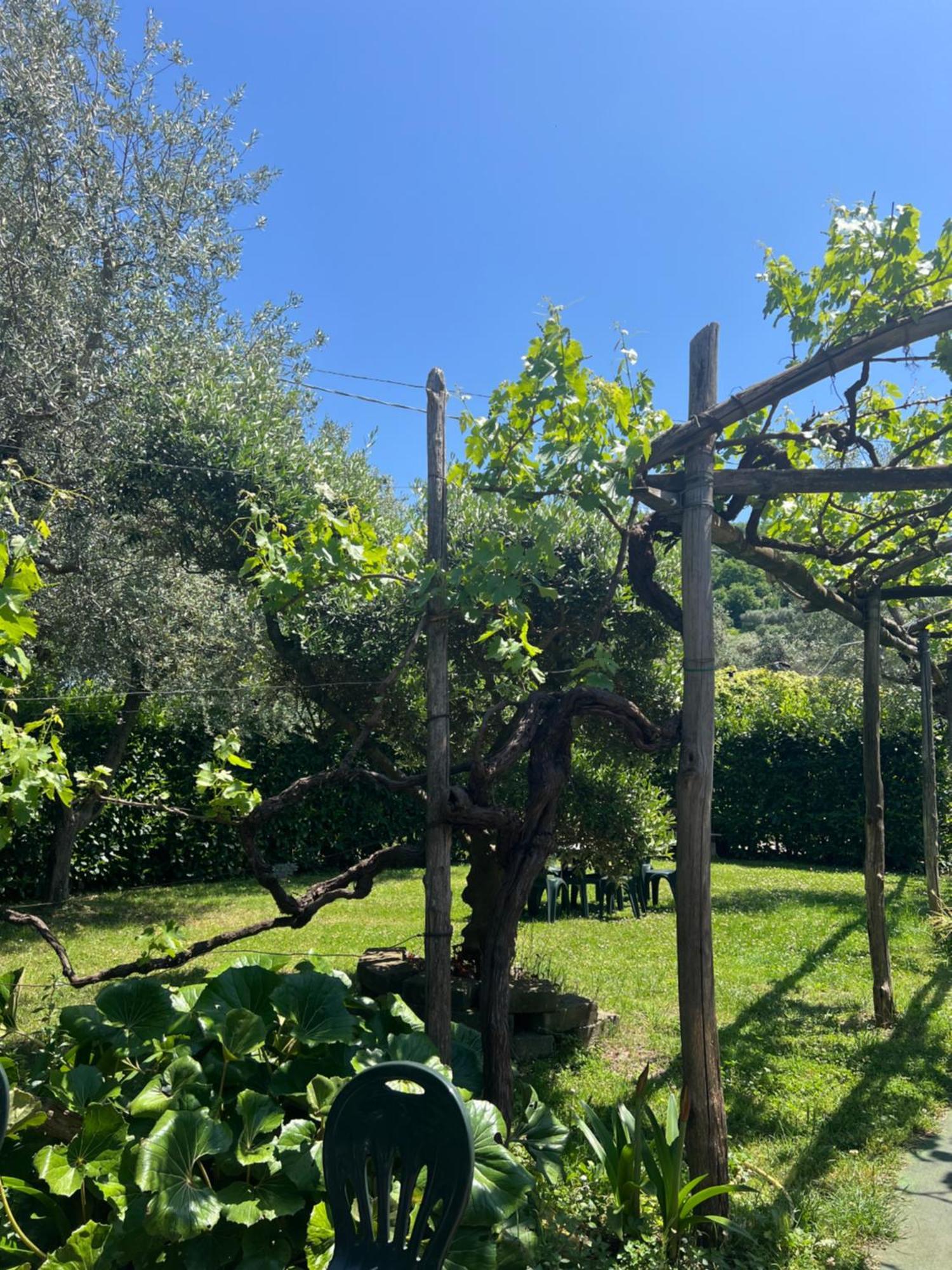 Vila Agriturismo Le Grottelle SantʼAgata sui Due Golfi Exteriér fotografie